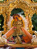  Shri Harikrishna Maharaj