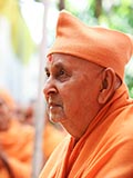  Swamishri in a divine mood