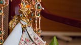  Shri Harikrishna Maharaj