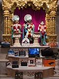 Shri Harikrishna Maharaj and Shri Radha-Krishna Dev