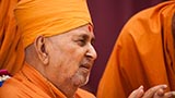 Swamishri in a divine mood