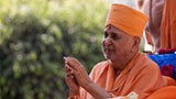 Swamishri in a divine mood