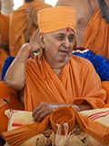 Swamishri under the mandir dome