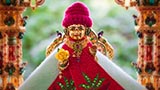  Shri Harikrishna Maharaj