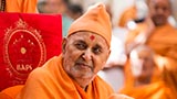  Swamishri in a divine mood