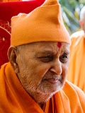 Swamishri in a divine mood