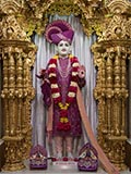  Shri Ghanshyam Maharaj