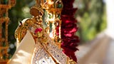  Shri Harikrishna Maharaj