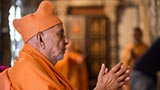  Swamishri engrossed in darshan