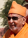  Swamishri in a divine mood