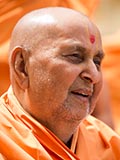  Swamishri in a divine mood