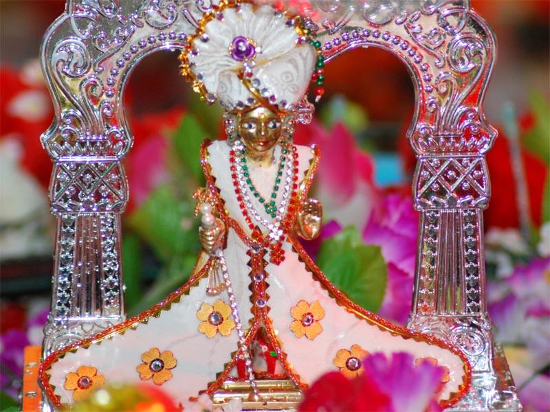 Bhagatji Maharaj Jayanti and Pushpadolotsav Celebrations - 