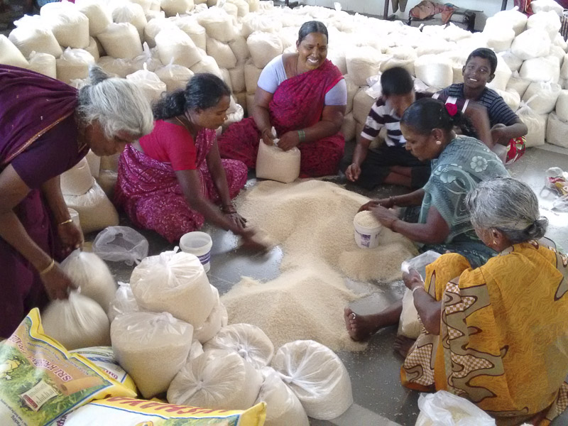 Flood Relief Work by BAPS in villages near Chennai, 12 December 2015