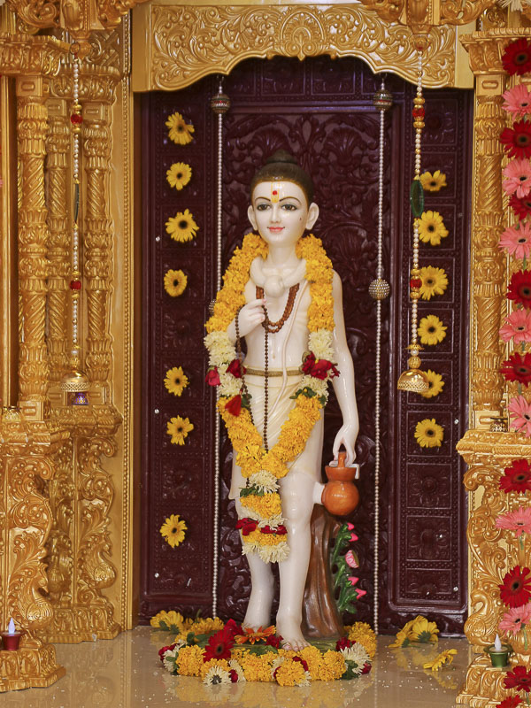 Murti-Pratishtha Mahotsav, Gir Gadhada, India