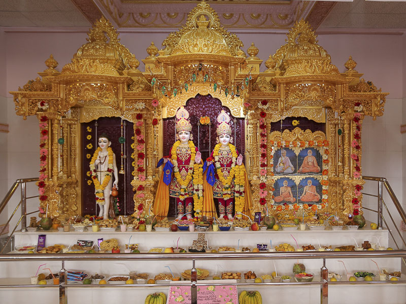 Murti-Pratishtha Mahotsav, Gir Gadhada, India