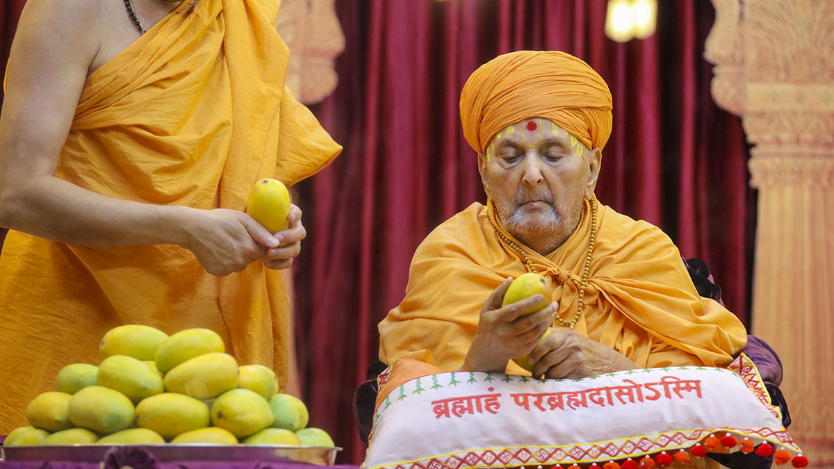 Swamishri sanctifies mangoes