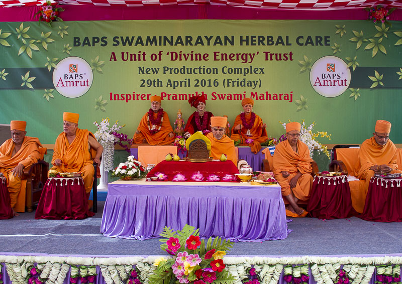 Senior sadhus perform mahapuja rituals