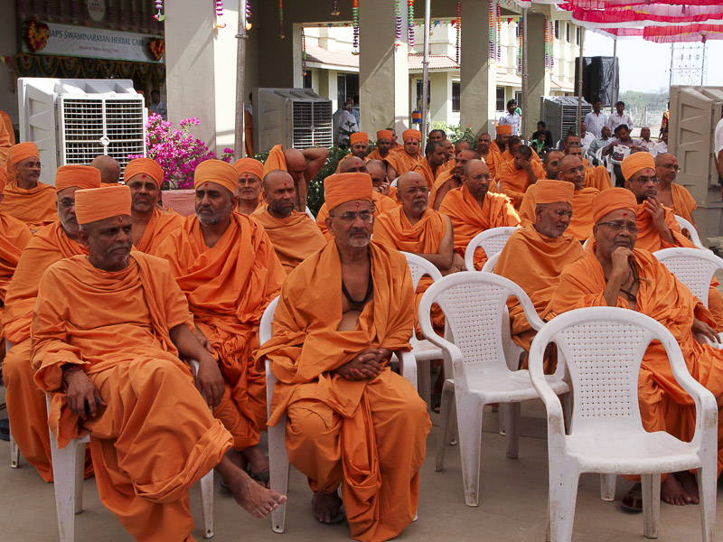 Sadhus during mahapuja rituals