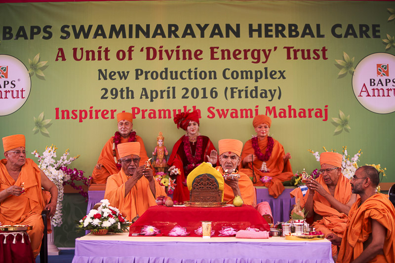 Senior sadhus perform mahapuja arti