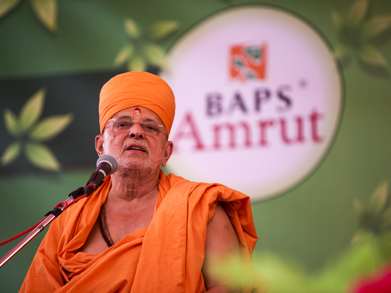 Pujya Ishwarcharan Swami addresses the assembly