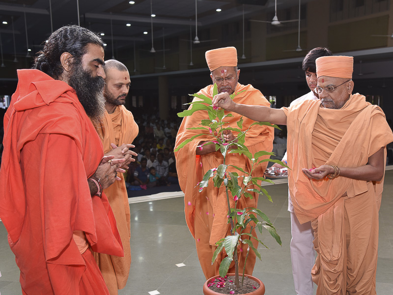 Tribute Assembly in Honor of HH Pramukh Swami Maharaj, Junagadh