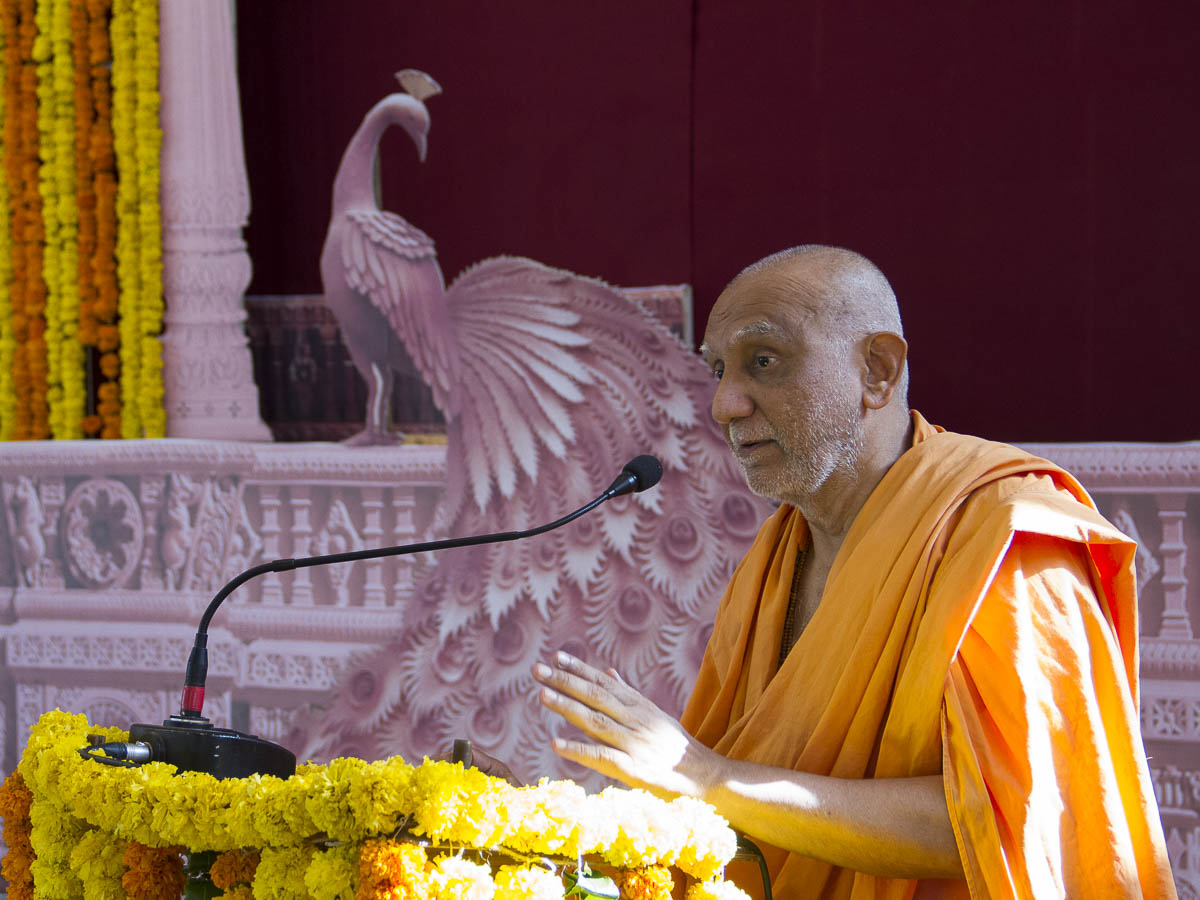 Atmaswarup Swami addresses the assembly