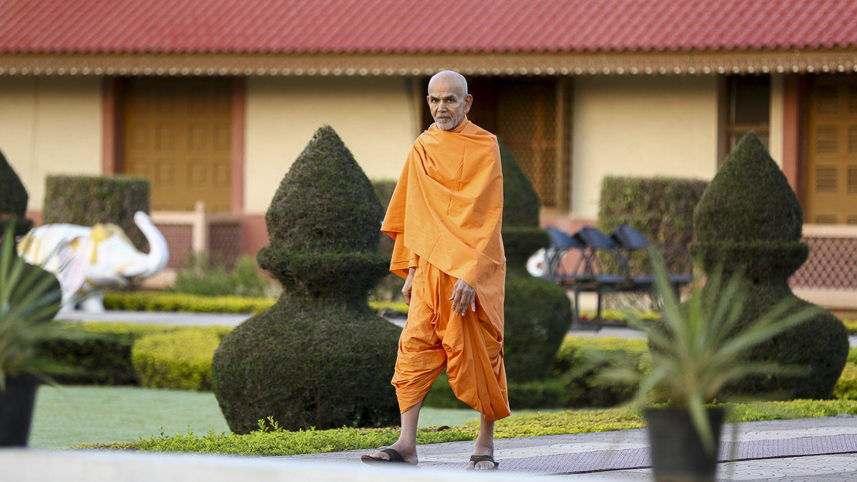 Param Pujya Mahant Swami during his morning walk, 22 Oct 2016