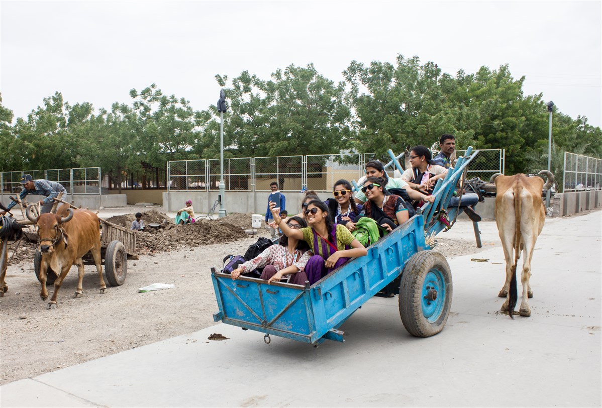 Enjoying a bullock cart ride in Sarangpur