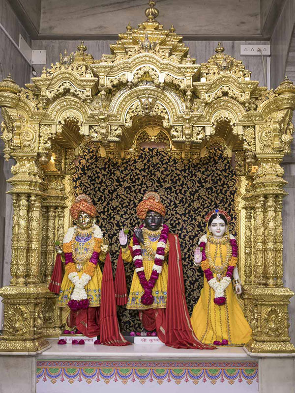 Shri Harikrishna Maharaj and Shri Radha-Krishna Dev, 20 Jan 2017