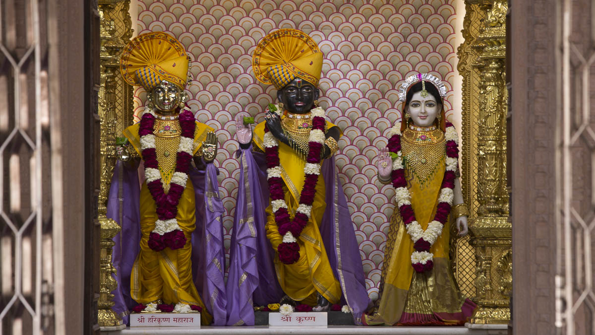 Shri Harikrishna Maharaj and Shri Radha-Krishna Dev, 15 Feb 2017
