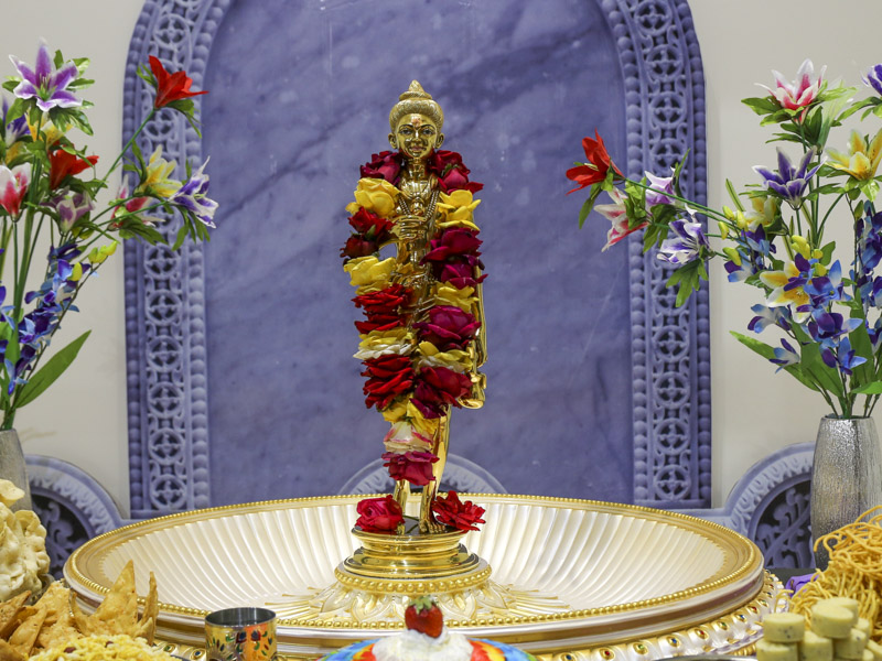 Shri Nilkanth Varni (abhishek murti)