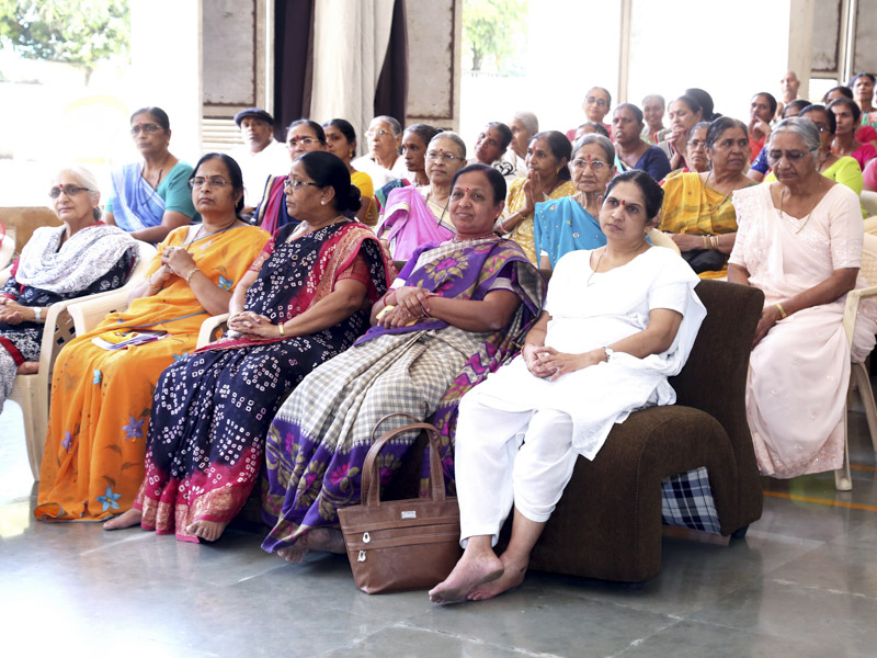 Women's Day Celebration 2017, Navsari