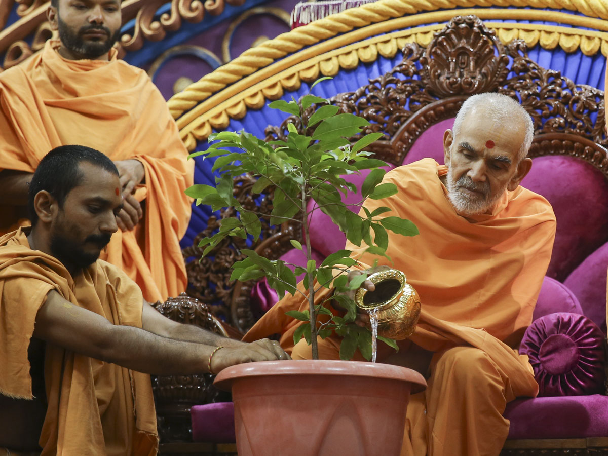 Swamishri waters a plant to commemorate World Environment Day, 5 Jun 2017