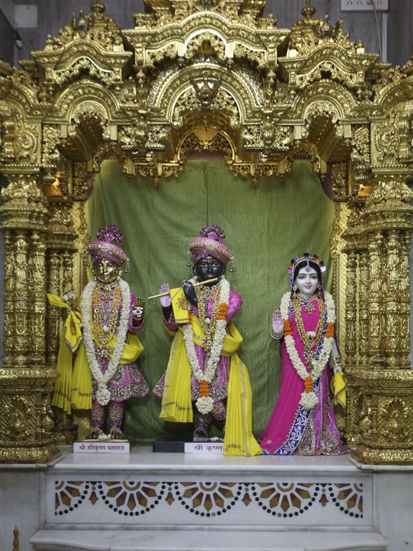 Shri Harikrishna Maharaj and Shri Radha-Krishna Dev, 10 Jun 2017