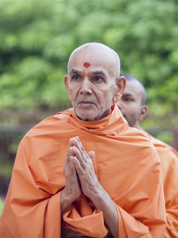 Swamishri engrossed in the darshan of Thakorji, 11 Jun 2017