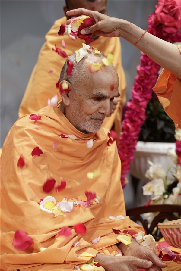 Swamis shower flower petals on Swamishri