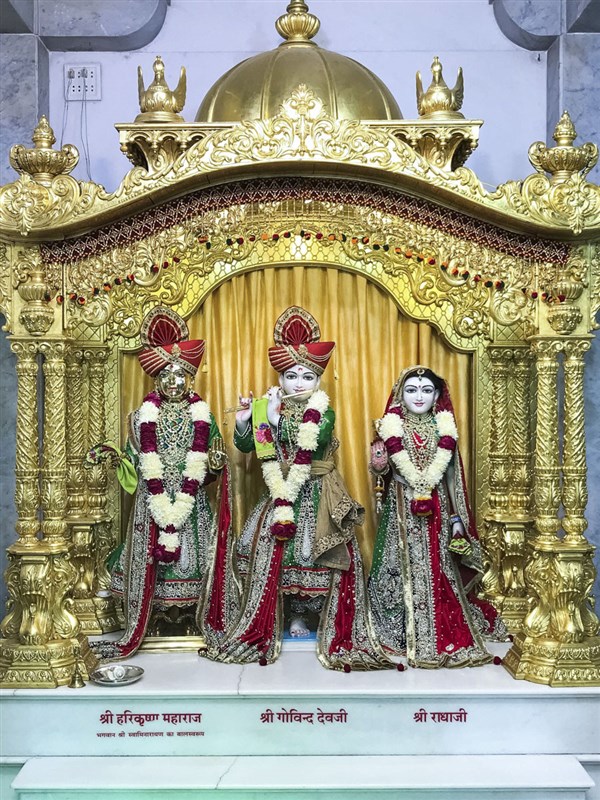 Shri Harikrishna Maharaj and Shri Radha-Govind Dev