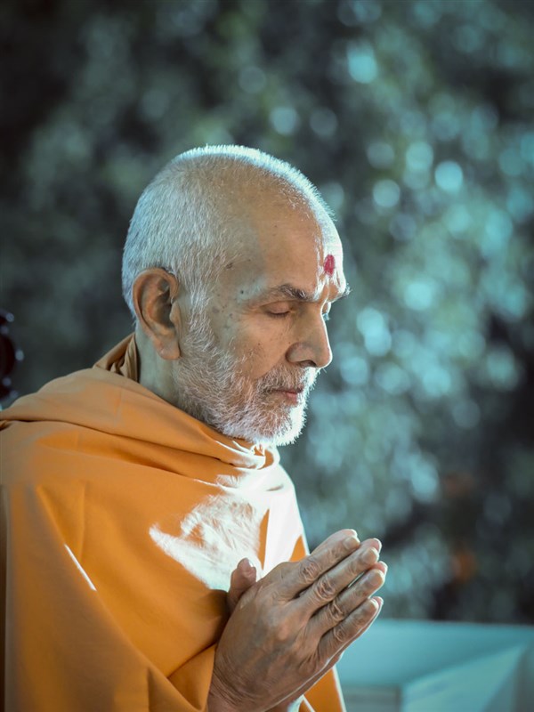 Swamishri engrossed in darshan Shri Guru Parampara