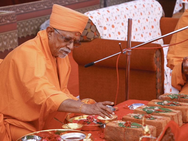 Pujya Doctor Swami performs mahapuja rituals