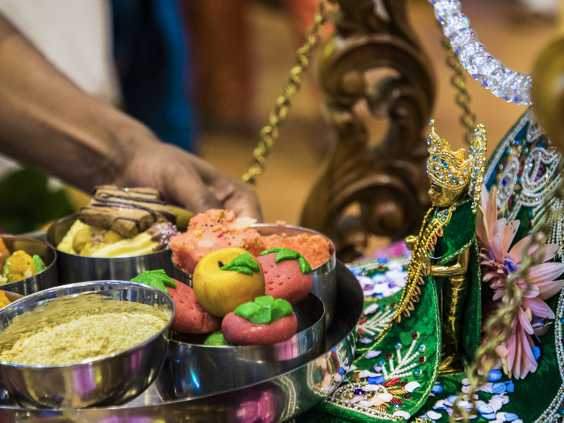 Shri Swaminarayan Jayanti Celebration 2018, Lenasia