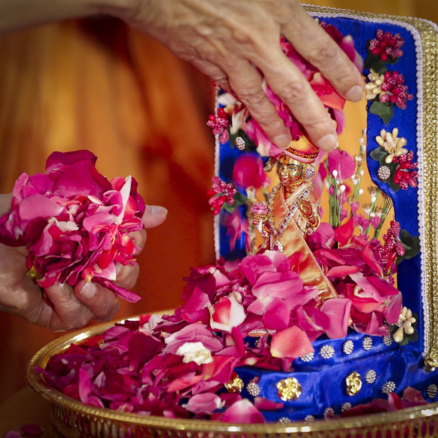Swamishri showers flower petals on Shri Harikrishna Maharaj