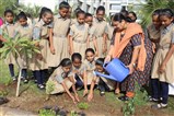 Sh. Vaghasiya Saheb, students and Campus officials planting a sapling at the campus premises