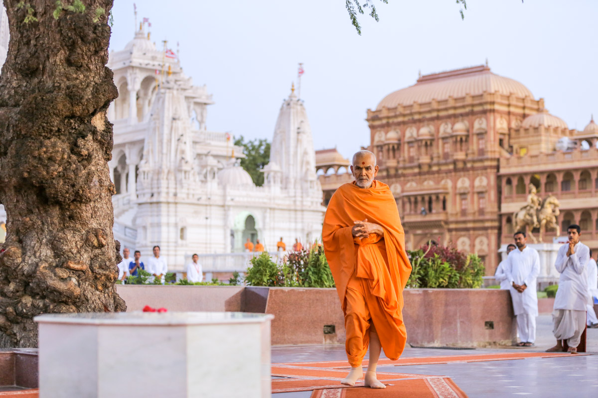 Swamishri performs pradakshina around the sacred khijdo tree