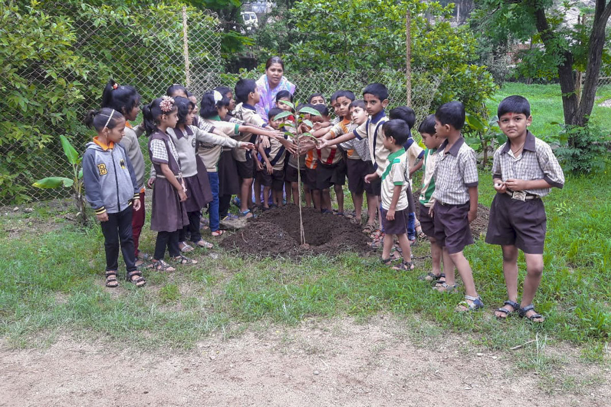 16th Annual Tree Planting Program, Mt. Abu