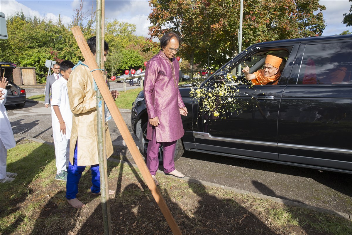 Mahant Swami Maharaj sanctifies new oak tree in memory of Pramukh Swami Maharaj, Chigwell, 2017
