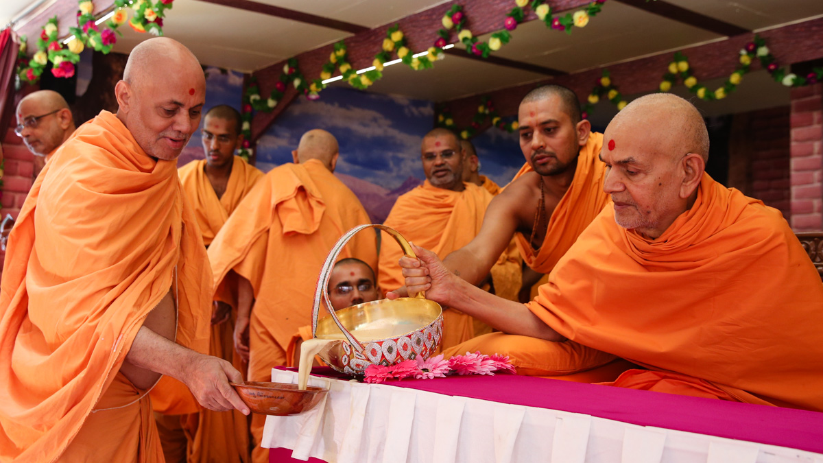 Swamishri serves dudhpak to Pujya Viveksagar Swami