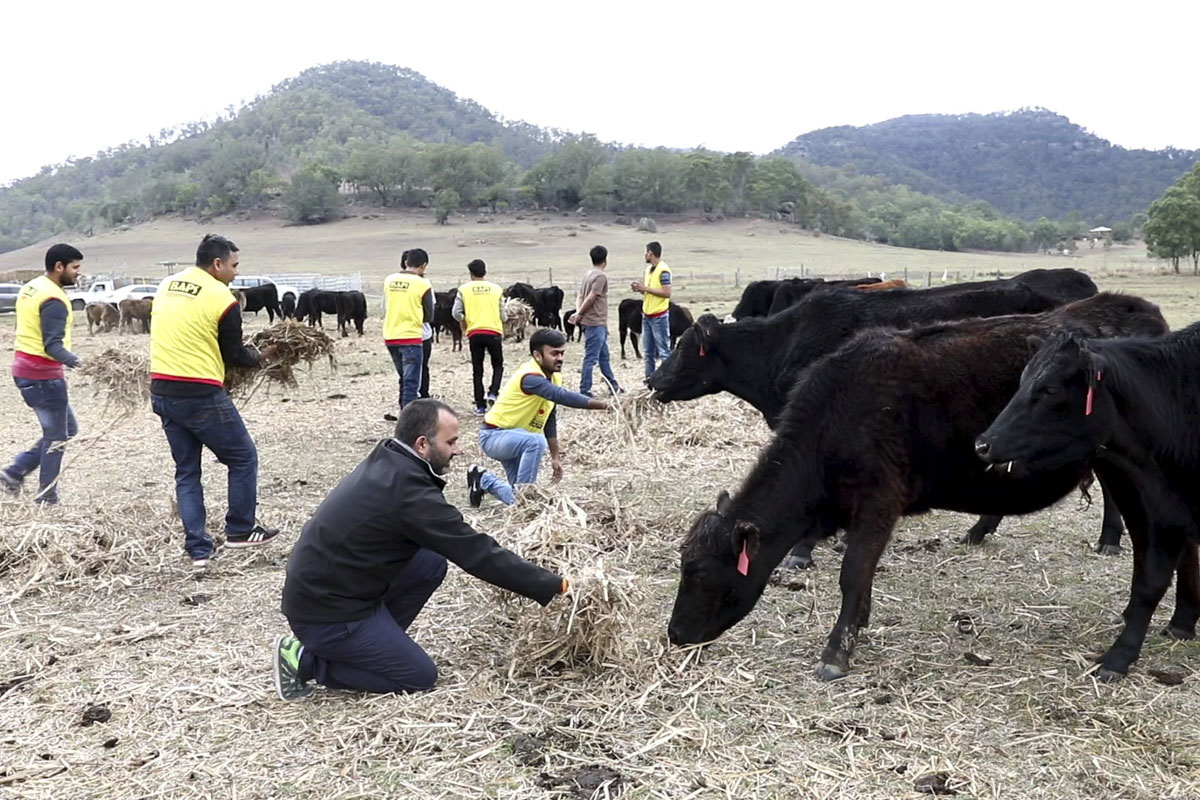 BAPS Donates to Drought Relief Fund