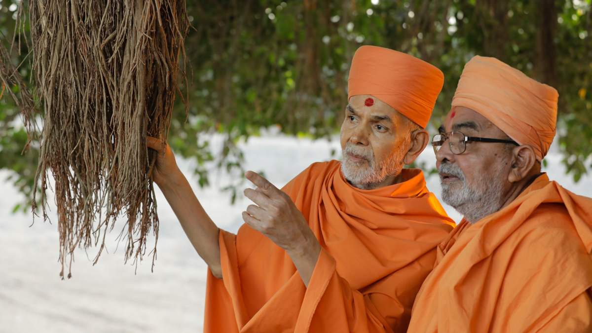 Swamishri converses with Gnanprasad Swami