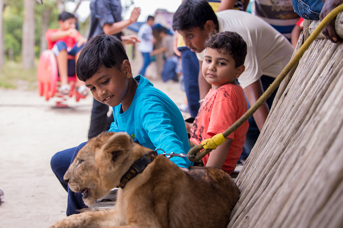 Diwali and Annakut Celebrations 2018, Dar-es-Salaam