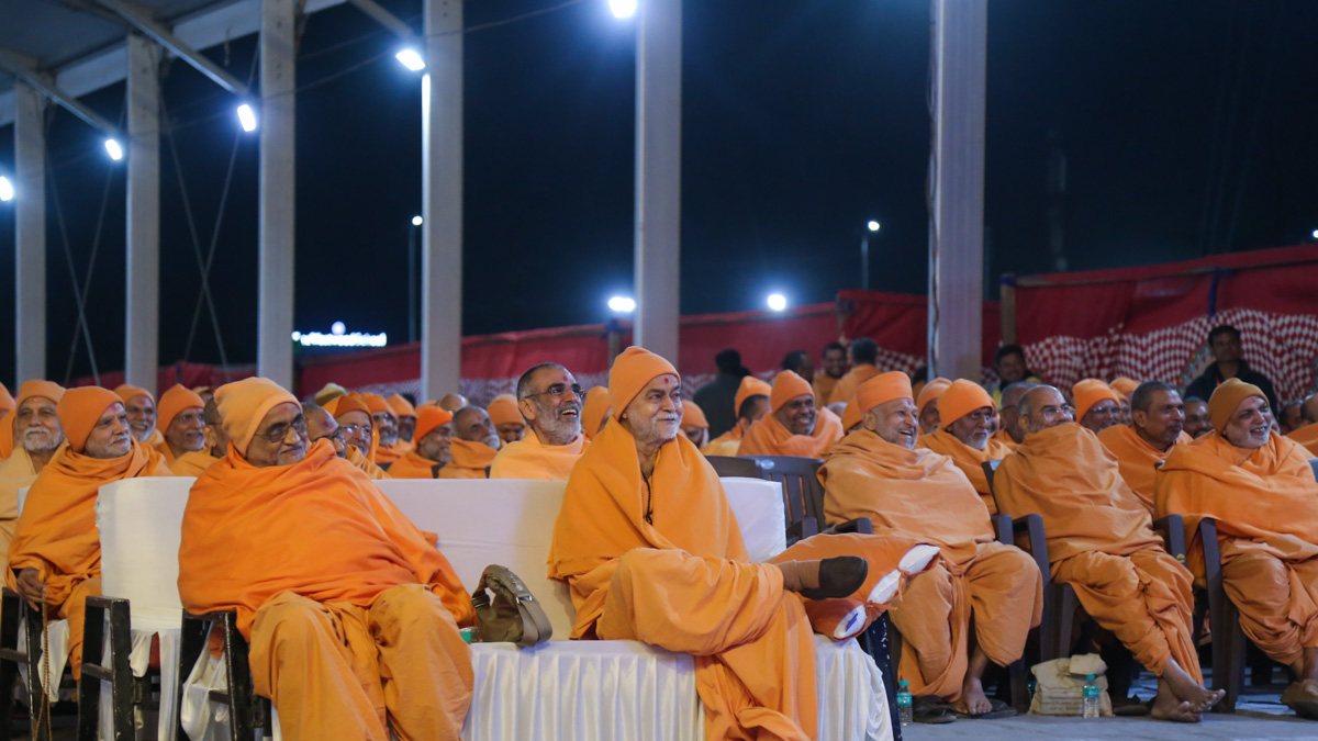 Sadhus during the assembly